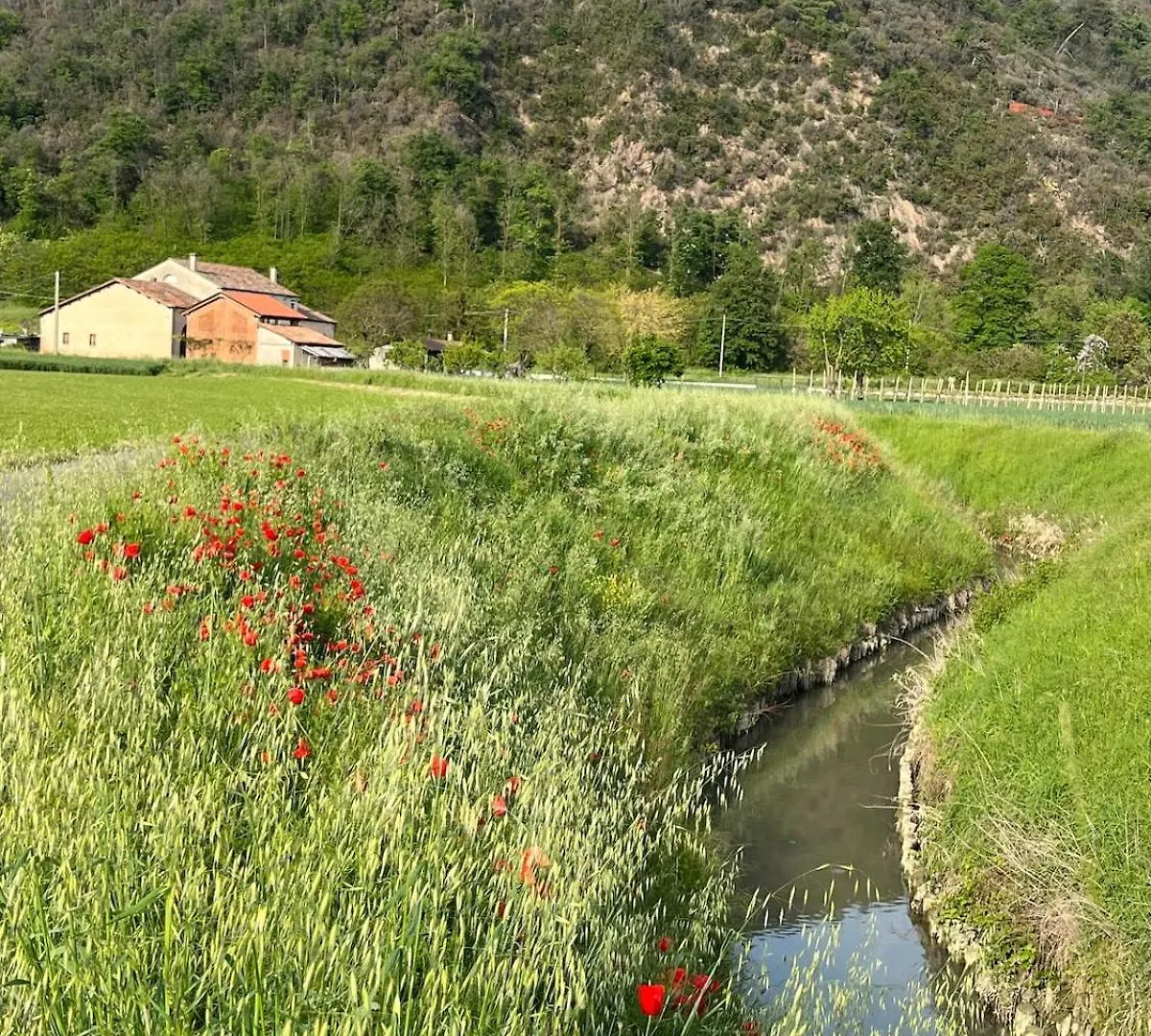 Abanocasa Apartment Abano Terme